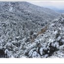 용장사석불좌상 이미지