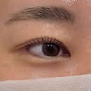 뷰티몬드동래 | ✨ 고양 속눈썹펌 추천! 동산동 뷰티몬드에서 자연스러운 속눈썹펌 받고 온 솔직 후기 💕
