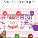 판타펫코리아 이미지