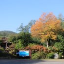 향기와 함께하는 몸과 마음 힐링 여행 이미지