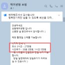 꽃보람 | 결혼준비 : 헤어변형 보람 내돈내산 후기 💍🤍