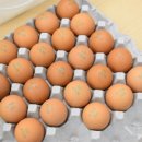 전주한옥찜닭한식뷔페 이미지