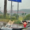 단양배드민턴장 이미지