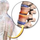 호랑한의원 이미지