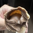 테라커피인천동수역점 | 인천 구월동 신규 오픈 테라커피 메뉴, 칼로리, 아이스크림 후기
