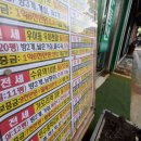 부동산뉴스공인중개사사무소 이미지