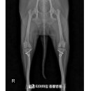 티어하임 동물병원 이미지