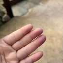 탑힐 | [🇦🇺ep.7] 줏대있는 삶