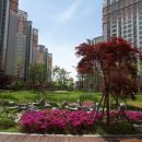 해든부동산공인중개사사무소 이미지