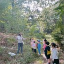 숲아이유치원 이미지