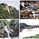 삼일2리 이미지