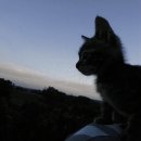 석영농장 이미지