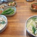 다전손칼국수 Daum카페