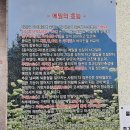 평양면옥 | 행궁동 평양냉면 맛집 추천 팔달문 인근 평양면옥 후기 메밀전 필수