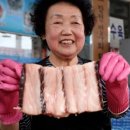 전통돔베기 이미지