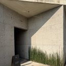 소나무 | [강원도 고성 숙소] 서로재 비움1 후기｜소나무 뷰·프라이빗 노천탕 리뷰