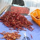 희나리농장 이미지