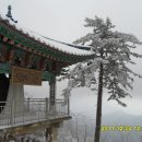 눈꽃사냥