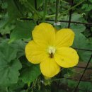 별난만두 이미지