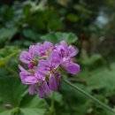 빛과 소금 이미지