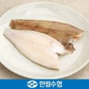 한림수산업협동조합 이미지