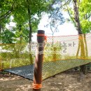 숲속하늘 유치원 이미지