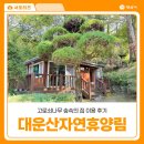 대운산자연휴양림 | 양산 대운산자연휴양림 숲속의집 고로쇠나무 이용 후기