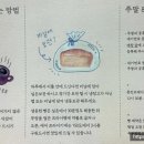 살구나무빵집