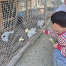 도토리숲키즈파크 | 세종 아이랑 가볼만한 곳 도토리숲 키즈파크 솔직 후기 (내돈내산)