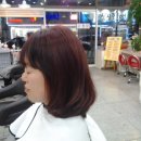 헤어핑 네이버블로그