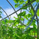 소원어린이집 이미지