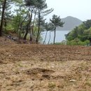 철마로 493 이미지