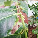 꿈나무농장 이미지