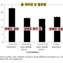 의사의식탁