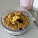 생활댄스(B) / 강좌번호 24 | 기다림도 태교가 될까요? 남편 없는 2개월, 임산부의 슬기로운 혼자 생활✨