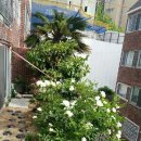 영남종합가스 이미지