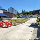 도안수산식당 이미지