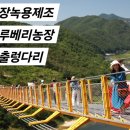 블루베리사슴농장 이미지