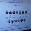 WT메소드 수유점 | 수유두피관리 지루성두피염 두피스케일링 WT메소드 수유점