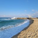 사근진해변 해중공원 이미지