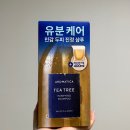 여룸 샴푸 추천 ! 아로마티카 티트리 퓨리파잉 샴푸 이미지