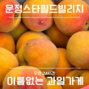이름없는과일가게일직점 | 신선한 채소와 과일을 저렴하게! 24시간 무인매장 이름없는 과일가게 스타필드빌리지 운정점 내돈내산...