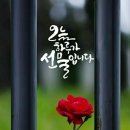 딸이이의 편지 이미지