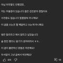 유튜버 도로시 커뮤니티 글 이미지