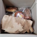 🥖 대전 성심당 빵 배달이 된다고? 호밀빵 신선도, 가격, 맛 후기 2023.10