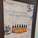 테라피 리진