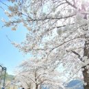 단성생활체육공원 이미지