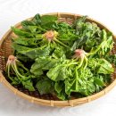 아이엠팜 이미지