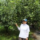 늘봄농장 이미지