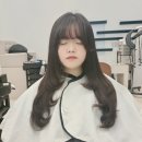 디와이헤어샵 네이버블로그